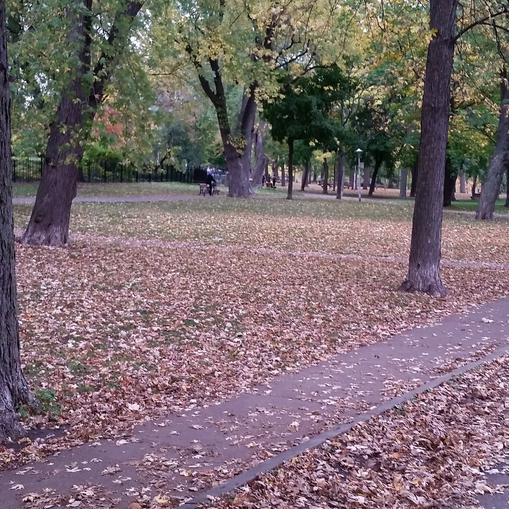 One of my favorite parks in Montreal.