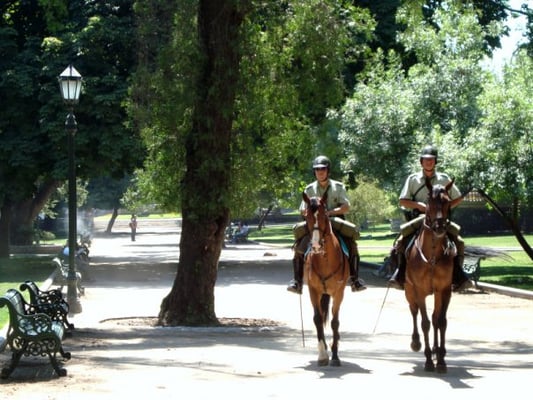 Parque Forestal by null