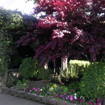 Redwood Cafe - Nestled in a beautiful get-away setting. - New American Near Me - Modesto, California Redwood Cafe - Nestled in a beautiful get-away setting. - New American Near Me - Modesto, California