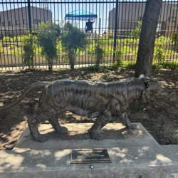 Klein Family Field - Outside of the ball field gate is the this tiger statue. Hold 'em if you can.