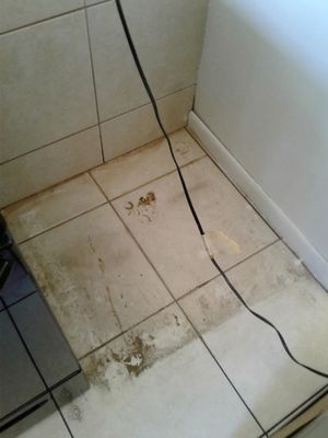 Detailed cleanings - Multiple jobs completed with customer satisfaction! Detailed cleanings - Multiple jobs completed with customer satisfaction!