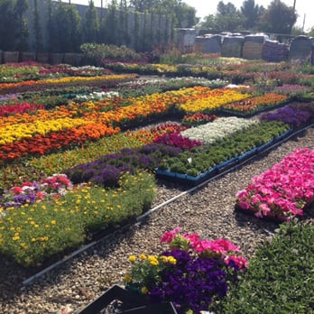 Vineland Nursery - Nurseries & Gardening Near Me - North Hollywood, California Vineland Nursery - Nurseries & Gardening Near Me - North Hollywood, California