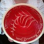 Photo of Shadron H Pottery