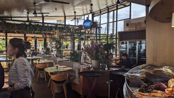 Can Fisher Restaurante playa Bogatell by null