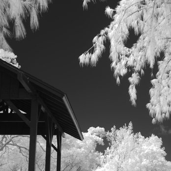 Life Pixel Infared - 830nm ISO100, 1/500s f/1.4 - Photography Stores & Services Near Me - Mukilteo, Washington