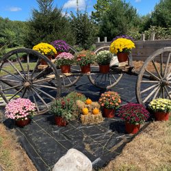 Country Market & Greenhouse