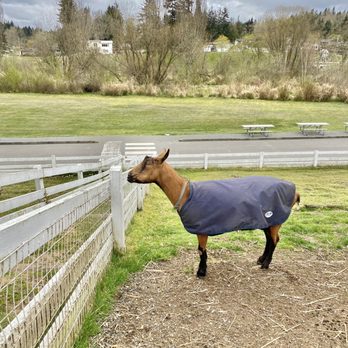 Kelsey Creek Farm Park - Venues & Event Spaces Near Me - Bellevue, Washington