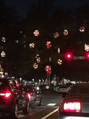 Village at Shirlington by null