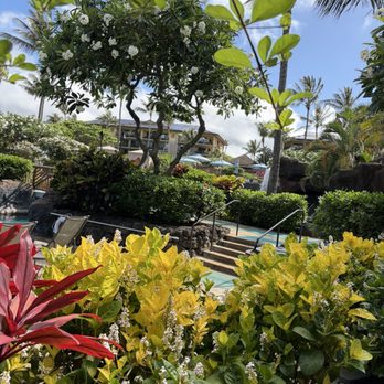 Koloa Landing Resort - Resorts Near Me - Koloa, Hawaii Koloa Landing Resort - Resorts Near Me - Koloa, Hawaii