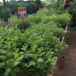 Garden Center Morumbi