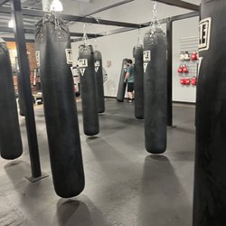 TITLE Boxing Club - Plenty of punching bags for larger classes