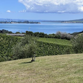 Mudbrick Vineyard and Restaurant - The View - Wineries Near Me - Auckland, AUK Mudbrick Vineyard and Restaurant - The View - Wineries Near Me - Auckland, AUK