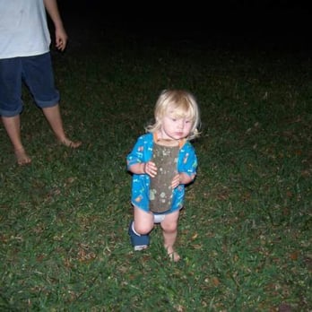 Ernst and Sons Tree Service - They start out young.. - Tree Services Near Me - Pinellas Park, Florida Ernst and Sons Tree Service - They start out young.. - Tree Services Near Me - Pinellas Park, Florida