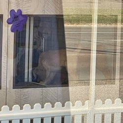 Puppygram Metro Detroit - 2 large puppies being housed together, hardly any room to move or lay down.
