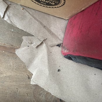 U-Haul - Rat feces and excrement in our UHaul U Box and on our ruined red velvet couch. - Self Storage Near Me - Tukwila, Washington U-Haul - Rat feces and excrement in our UHaul U Box and on our ruined red velvet couch. - Self Storage Near Me - Tukwila, Washington