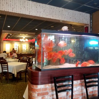 Cheng Du 23 - Has a cute fish tank at the entrance - Seafood Near Me - Wayne, New Jersey Cheng Du 23 - Has a cute fish tank at the entrance - Seafood Near Me - Wayne, New Jersey