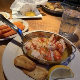 Lazy Lobster (G) Lazy Lobster (G)