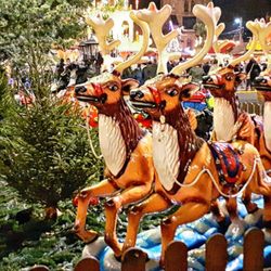Weihnachtsmarkt - Ren-Parade (01/2023)