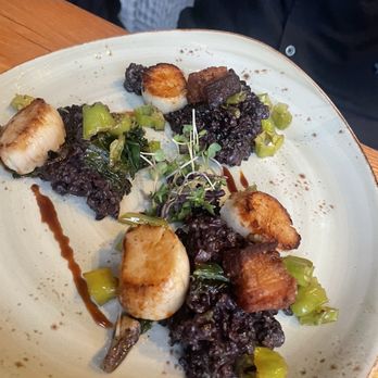 Catalyst Restaurant - Scallops - New American Near Me - Cambridge, Massachusetts