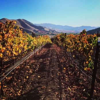 Rooted Vine Tours - Wine Tours Near Me - Santa Barbara, California Rooted Vine Tours - Wine Tours Near Me - Santa Barbara, California