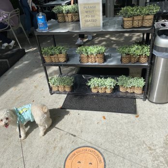 B Bistro + Bakery - Bakeries Near Me - Miami, Florida