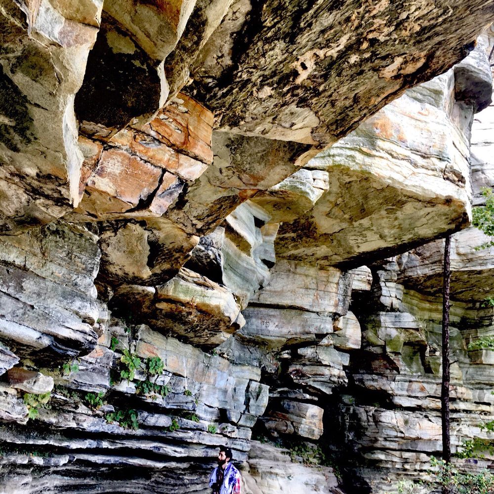 Top 10 Best Hiking Trails With Waterfalls in WinstonSalem, NC Last