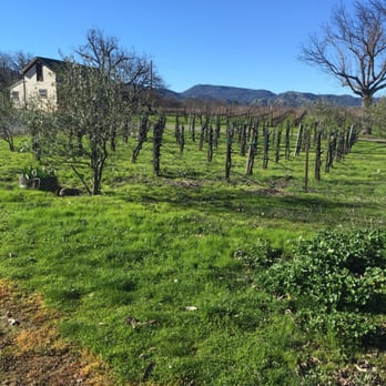 Pope Valley Winery - Wineries Near Me - Pope Valley, California Pope Valley Winery - Wineries Near Me - Pope Valley, California