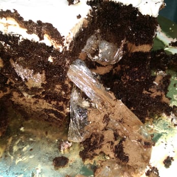 Some Crust Bakery - They leave plastic wrap in thier wedding cakes. Wedding cake was dry and flavorless. - Bakeries Near Me - Claremont, California Some Crust Bakery - They leave plastic wrap in thier wedding cakes. Wedding cake was dry and flavorless. - Bakeries Near Me - Claremont, California