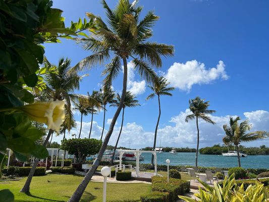 Villa Parguera Hotel by null