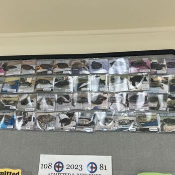 The Turtle Hospital - Saved Turtles year to date - Veterinarians Near Me - Marathon, Florida
