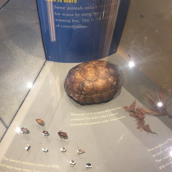 EcoTarium - Museums Near Me - Worcester, Massachusetts