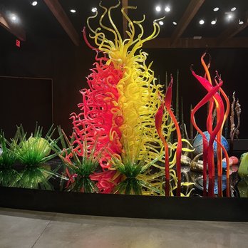Chihuly Collection - All glass - Art Galleries Near Me - Saint Petersburg, Florida