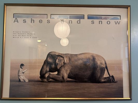 Green Tortoise Hostel Seattle by null