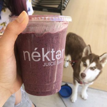 Nekter Juice Bar - Berry smoothie and my dog coco - Juice Bars & Smoothies Near Me - Torrance, California Nekter Juice Bar - Berry smoothie and my dog coco - Juice Bars & Smoothies Near Me - Torrance, California