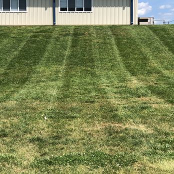 Landscrete - Grass Stripes - Masonry/Concrete Near Me