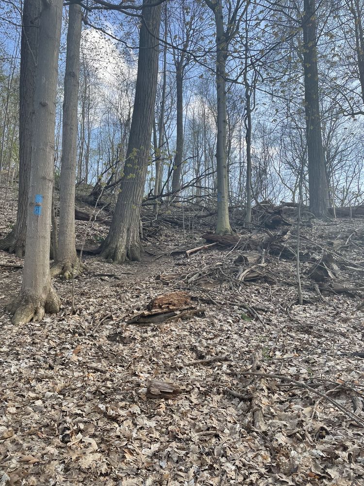 HORIZON HILL CONSERVATION AREA Updated September 2024 99155