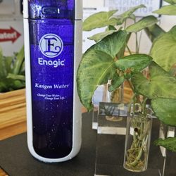 Kathy's Kangen Water Hydration Station - What's in your water?