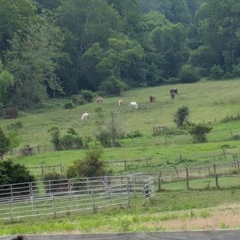 Windsong Arabians - Ranches Near Me - Mount Airy, Maryland Windsong Arabians - Ranches Near Me - Mount Airy, Maryland