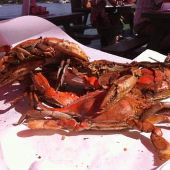 The Crab Claw - Mmmm crabs. No prescription needed - Seafood Near Me - St. Michaels, Maryland The Crab Claw - Mmmm crabs. No prescription needed - Seafood Near Me - St. Michaels, Maryland