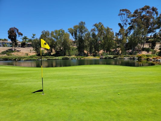 Aviara Golf Club by null