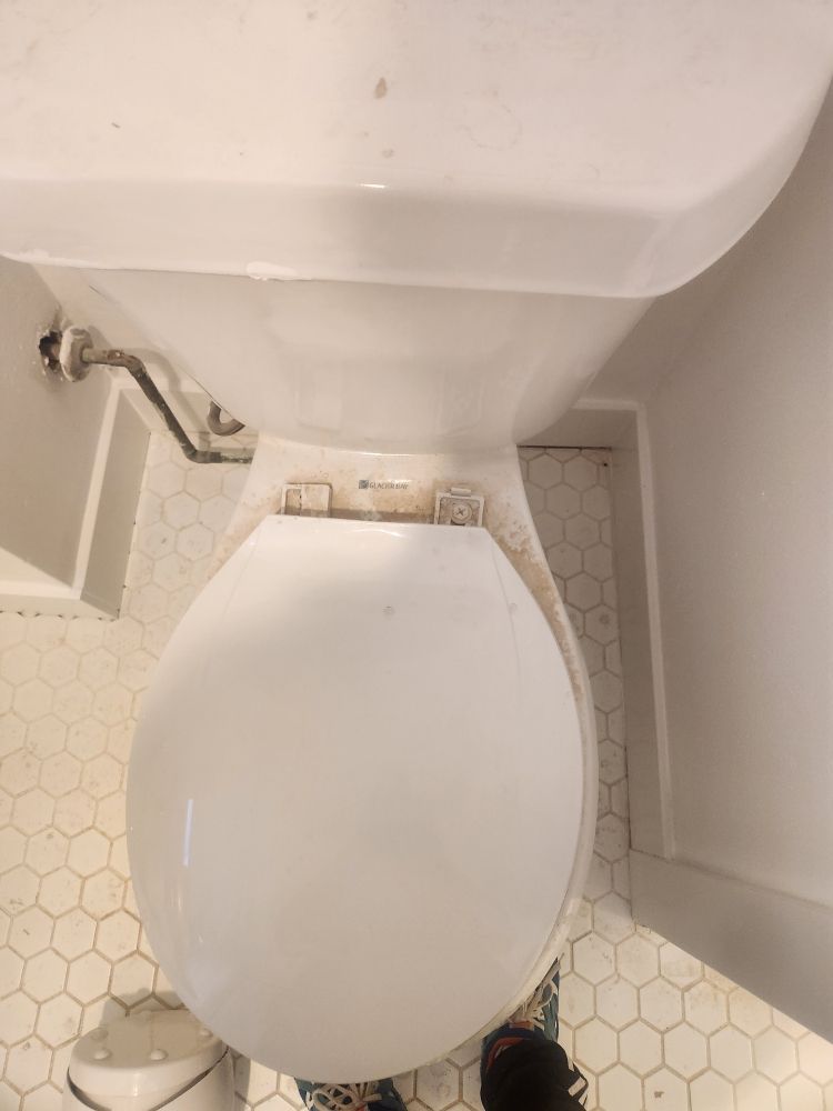 V&V CLEANING SERVICES Updated August 2024 20 Photos Denver