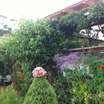 Robins Restaurant - Cute outdoor garden. Great for summer nights! - New American Near Me - Cambria, California