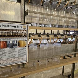 Gavins Point National Fish Hatchery - Egg hatching jars