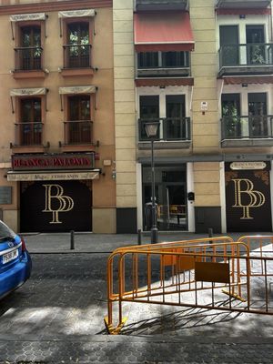 Blanca Paloma by null