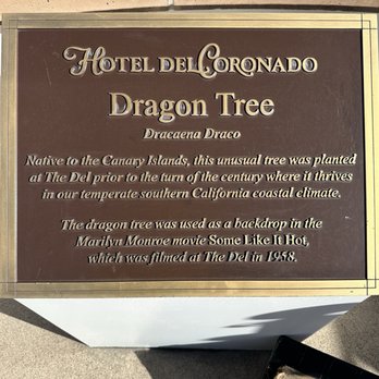 Hotel del Coronado, Curio Collection by Hilton - Coronado, CA