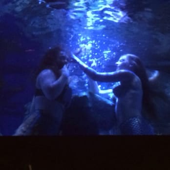Dive Bar - Mermaids having a mer chat! - Dive Bars Near Me - Sacramento, California Dive Bar - Mermaids having a mer chat! - Dive Bars Near Me - Sacramento, California