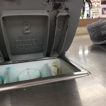 Aurora's Best Laundry - Photo of mold - Laundry Services Near Me - Aurora, Illinois