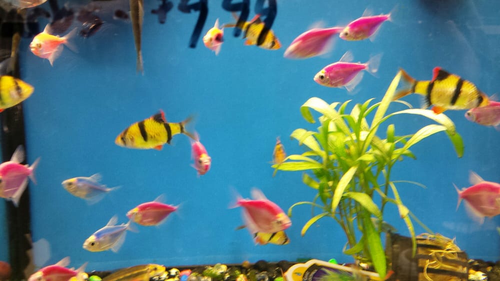 THE ANDERSONS CLOSED 33 Reviews 4701 Talmadge Rd, Toledo, Ohio