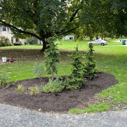 Tk Landscapes