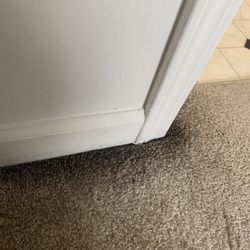 Canvas Townhomes Allendale - Mold on carpet edges